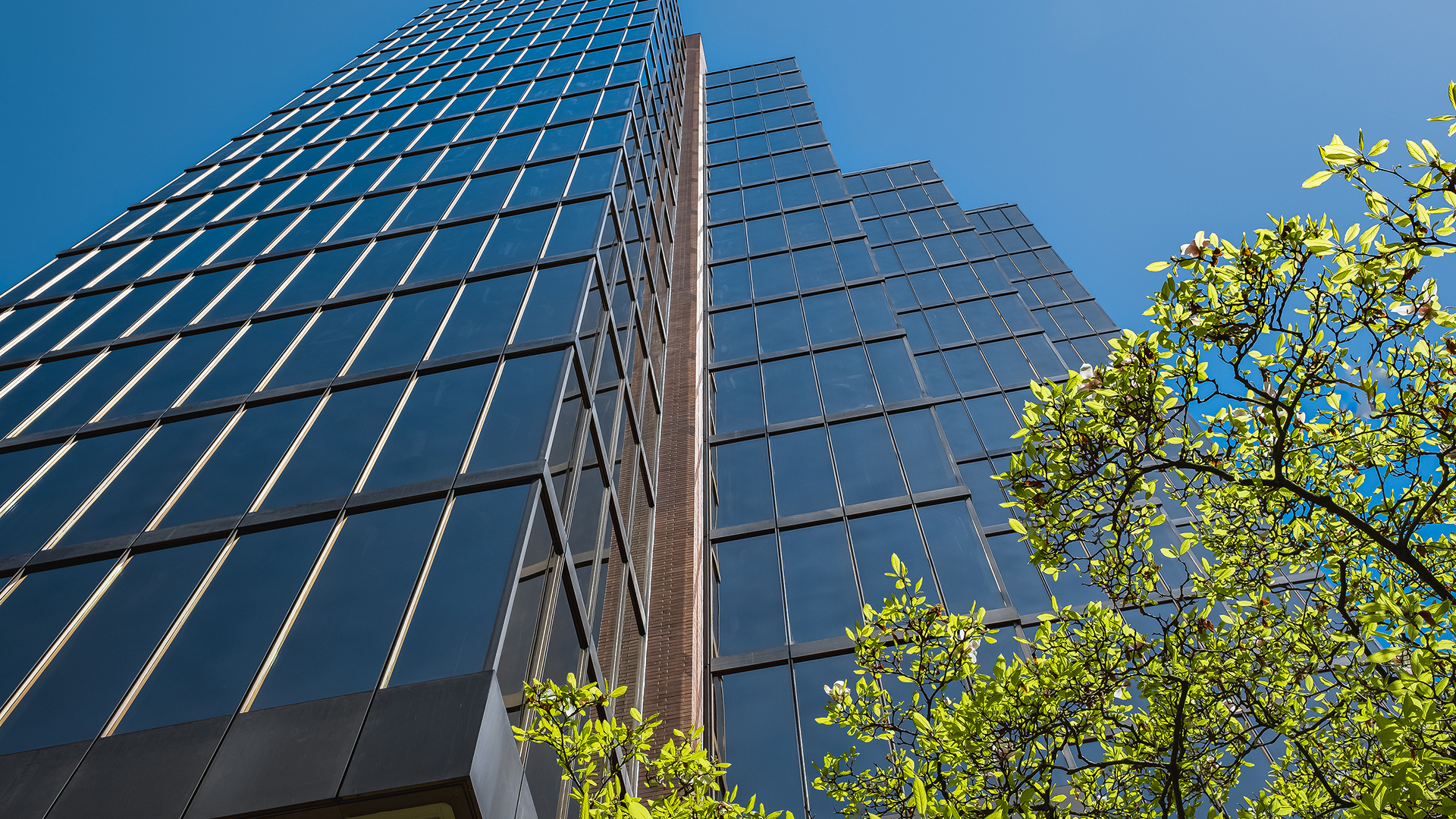 Commercial Cleaning Services in Maryland