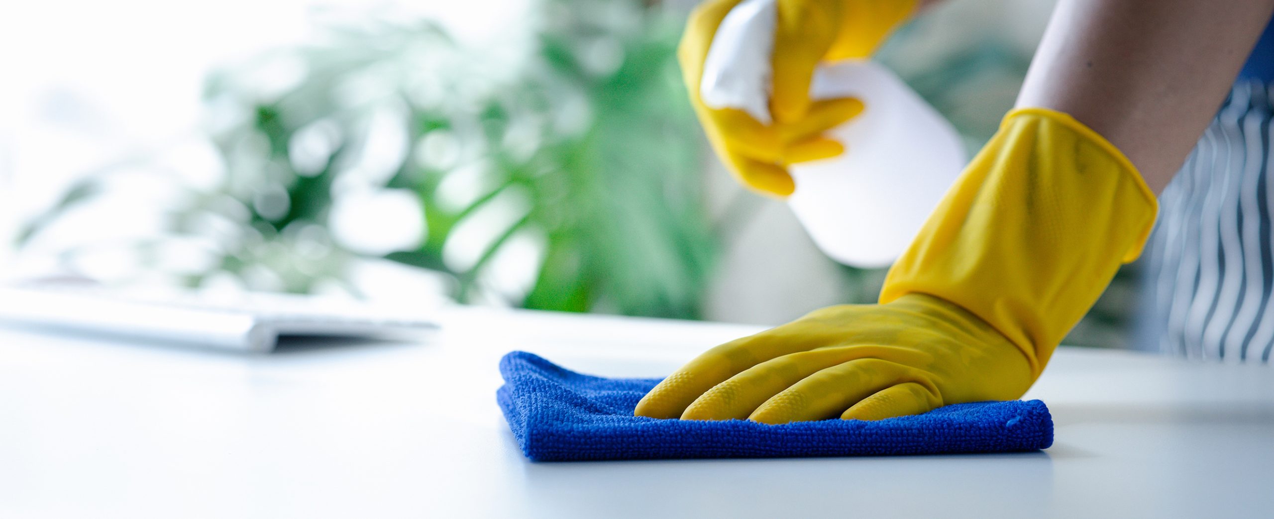 Maryland Disinfection Service